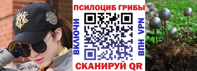 Галлюциногенные грибы GOLDEN TEACHER  Фурманов 